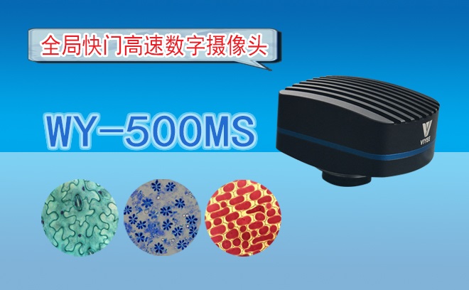 全局快門高速數(shù)字?jǐn)z像頭WY-500MS